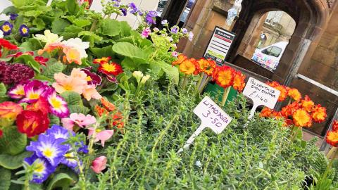Kirkby Lonsdale Charter market - Herb Garden